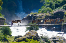 Nepal